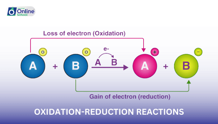Lesson 02: Oxidation-Reduction Reactions: The Currency of Energy in Biology